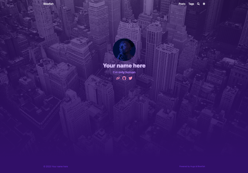 blowfish 没有文章