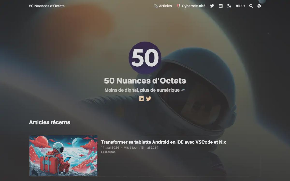 50-nuances-octets.fr